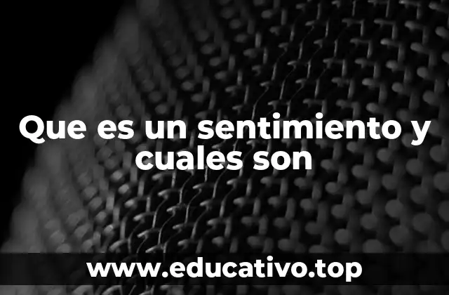 Que es un sentimiento y cuales son