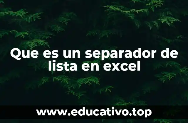 Que es un separador de lista en excel