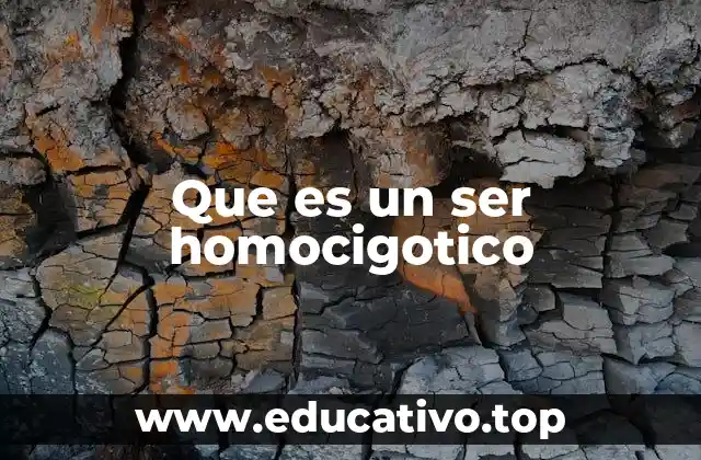 Que es un ser homocigotico