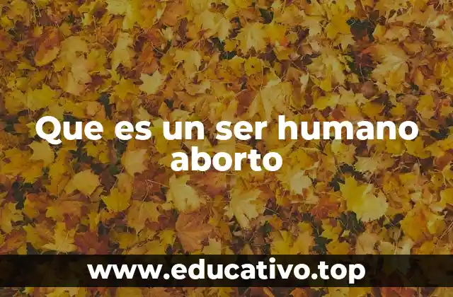 Que es un ser humano aborto
