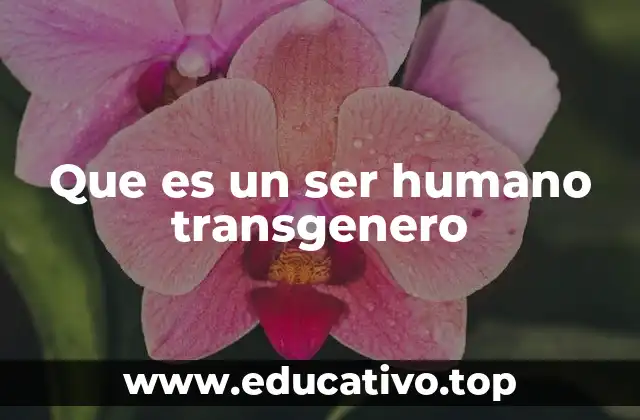 Que es un ser humano transgenero