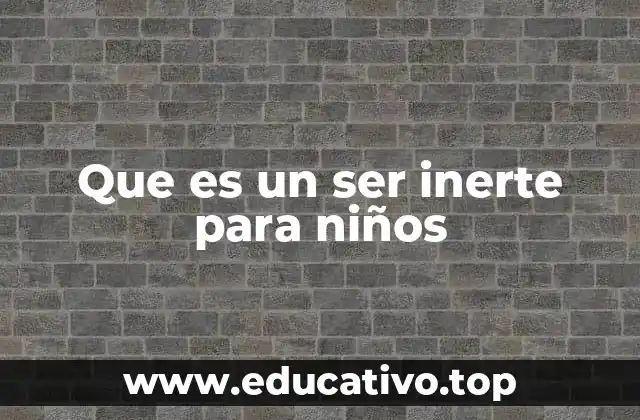 Que es un ser inerte para niños
