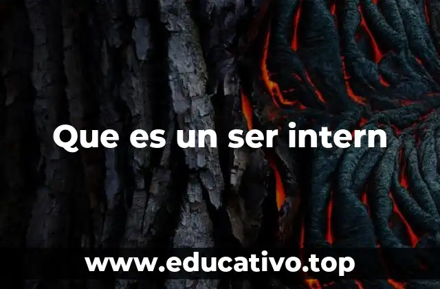 Que es un ser intern