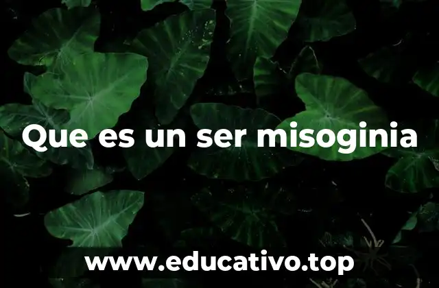 Que es un ser misoginia