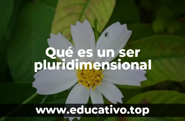Qué es un ser pluridimensional