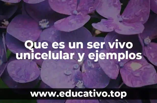 Que es un ser vivo unicelular y ejemplos
