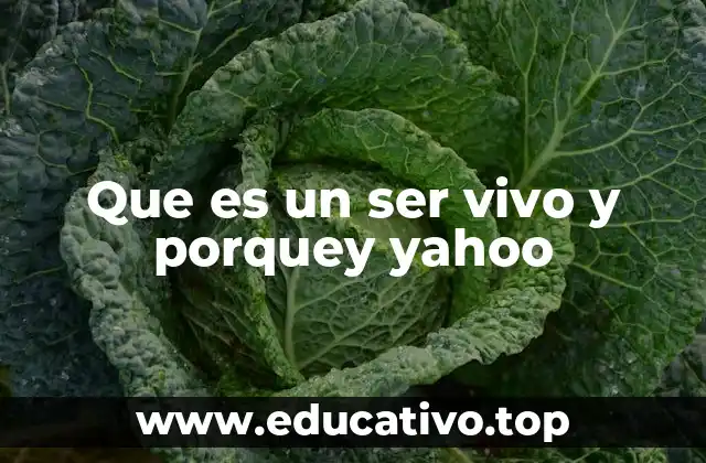 Que es un ser vivo y porquey yahoo