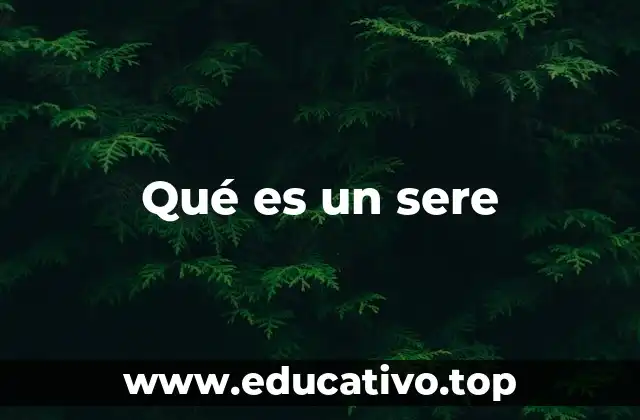 Qué es un sere