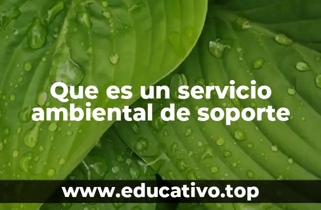 Que es un servicio ambiental de soporte
