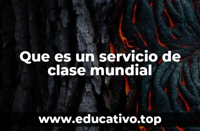 Que es un servicio de clase mundial