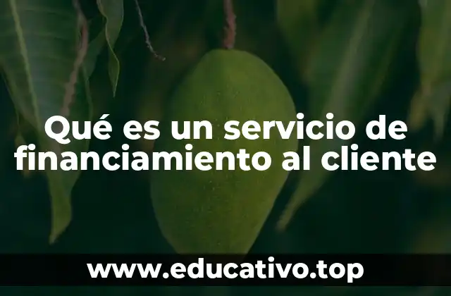 Qué es un servicio de financiamiento al cliente