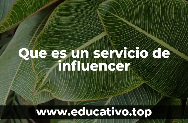 Que es un servicio de influencer