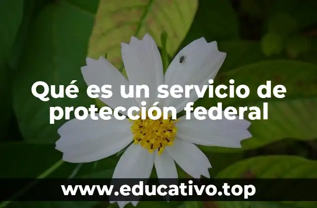 El papel de las agencias federales en la seguridad nacional