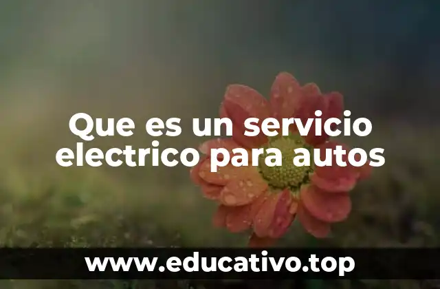 Que es un servicio electrico para autos
