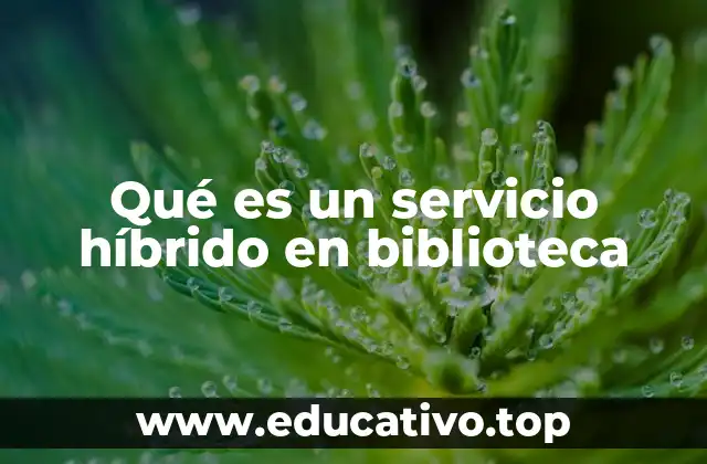 Qué es un servicio híbrido en biblioteca