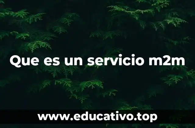 Que es un servicio m2m