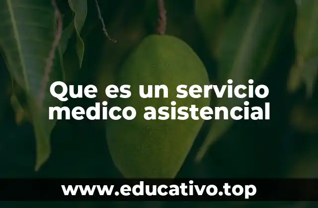 Que es un servicio medico asistencial