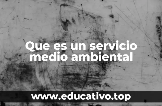 Que es un servicio medio ambiental