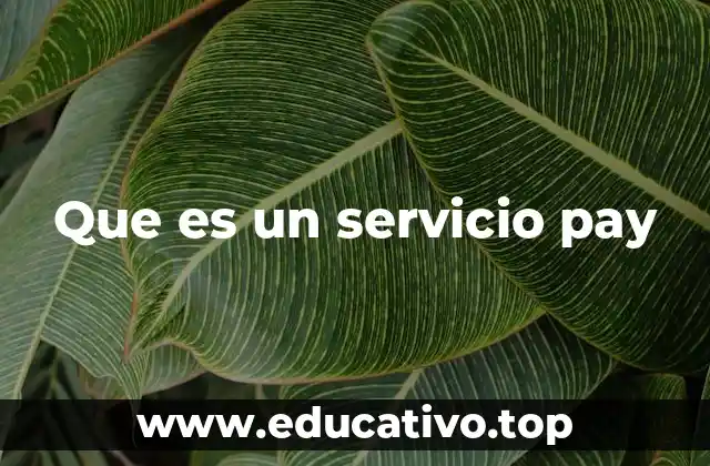 El impacto del servicio pay en la economía digital