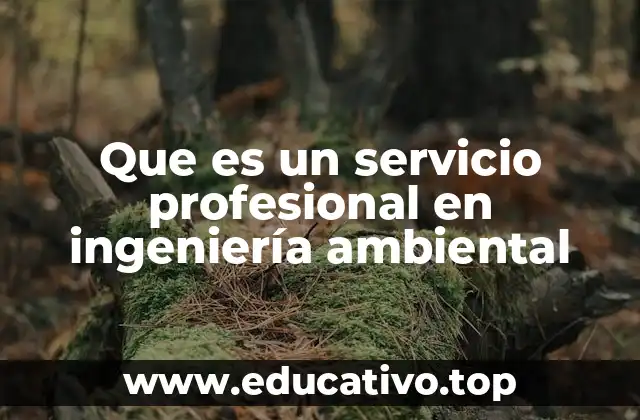 Que es un servicio profesional en ingeniería ambiental