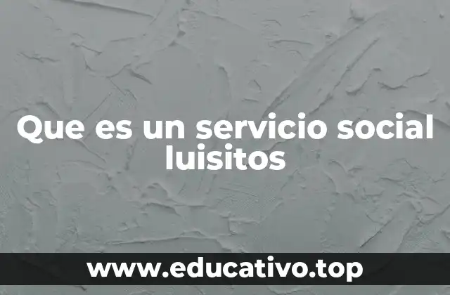 Que es un servicio social luisitos