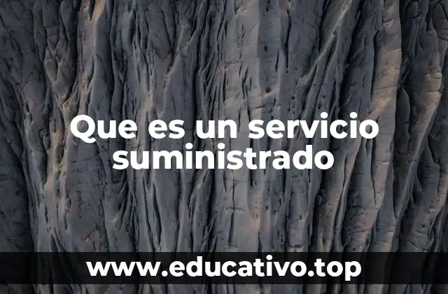 Que es un servicio suministrado