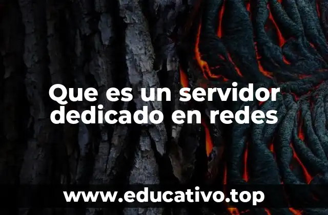 Que es un servidor dedicado en redes