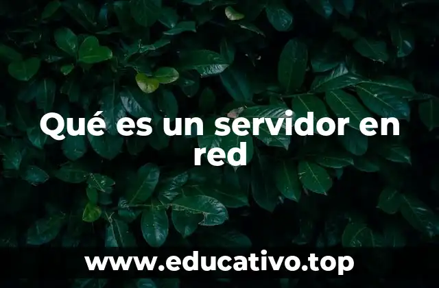 Qué es un servidor en red