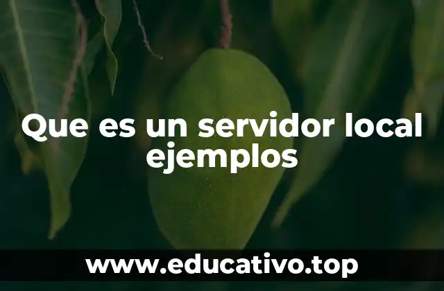 Que es un servidor local ejemplos