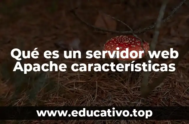 Qué es un servidor web Apache características