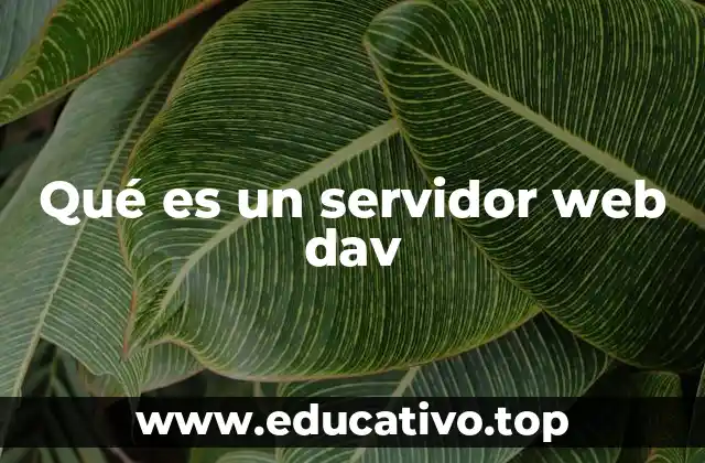 Qué es un servidor web dav