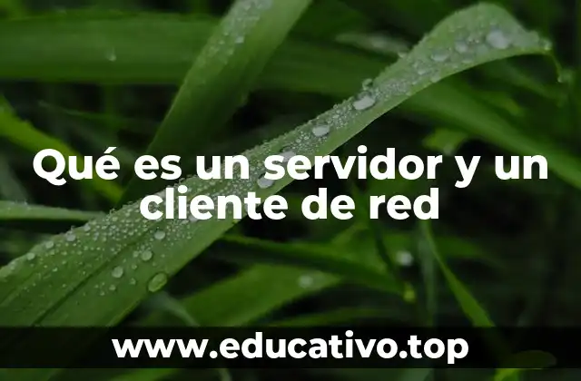 Qué es un servidor y un cliente de red