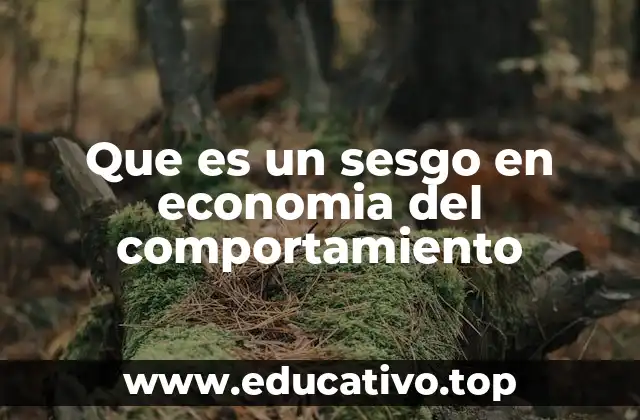Que es un sesgo en economia del comportamiento