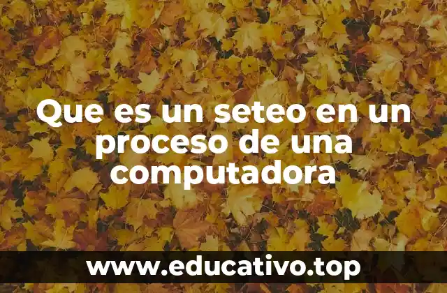 Que es un seteo en un proceso de una computadora