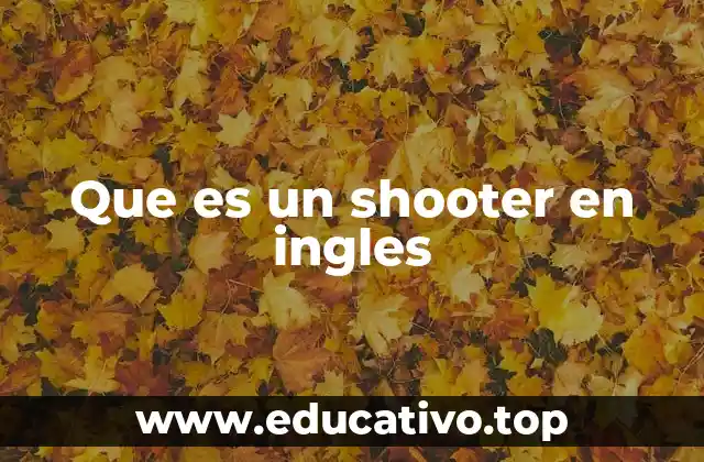 Que es un shooter en ingles