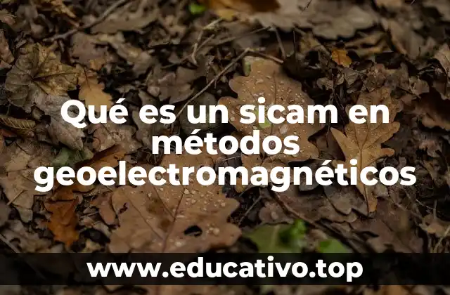 Qué es un sicam en métodos geoelectromagnéticos