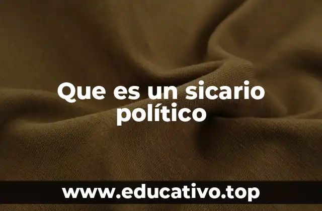 Que es un sicario político