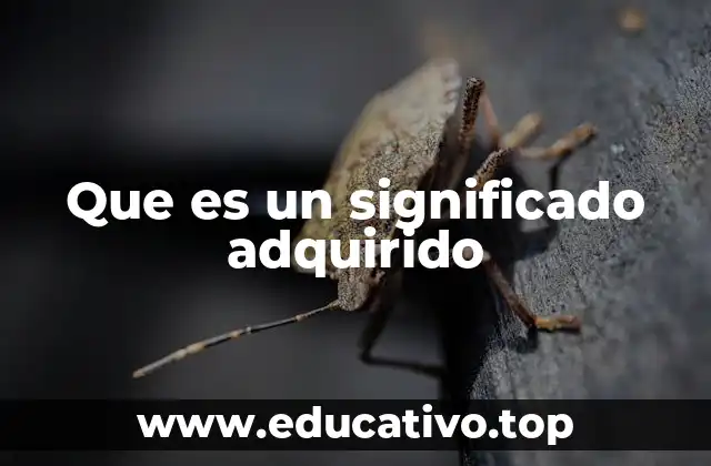 Que es un significado adquirido