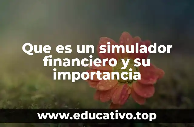 La importancia de prever el futuro financiero