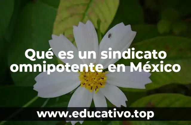 Qué es un sindicato omnipotente en México