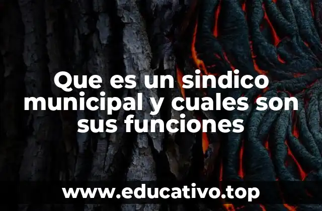 El sindico municipal como vigilante del gobierno local