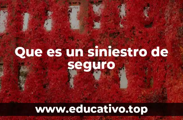 Que es un siniestro de seguro