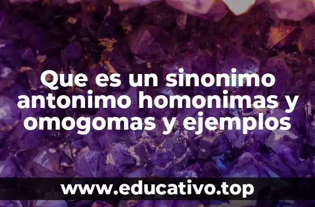 Las relaciones entre palabras en el español