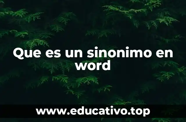 Que es un sinonimo en word