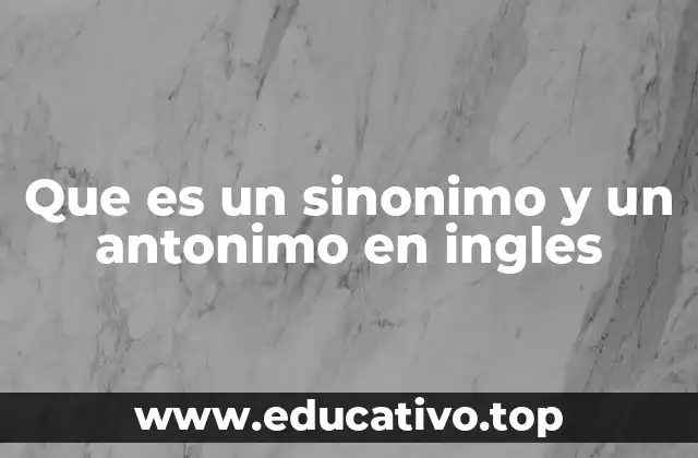 Que es un sinonimo y un antonimo en ingles