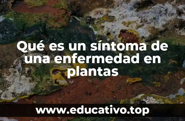 Qué es un síntoma de una enfermedad en plantas