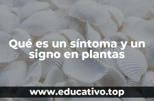 Qué es un síntoma y un signo en plantas