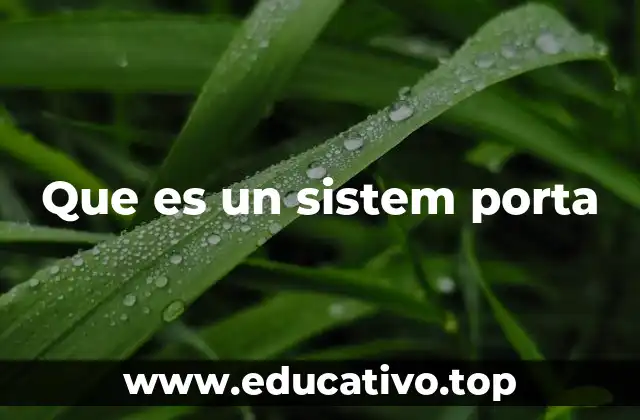 Que es un sistem porta