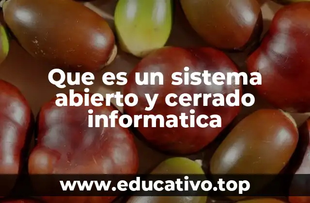 Que es un sistema abierto y cerrado informatica