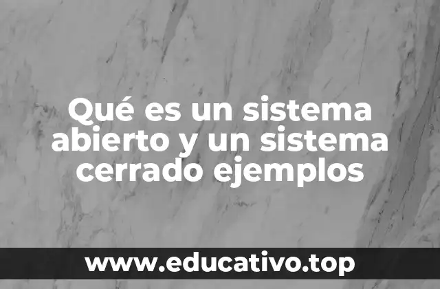 Sistemas que interactúan con su entorno